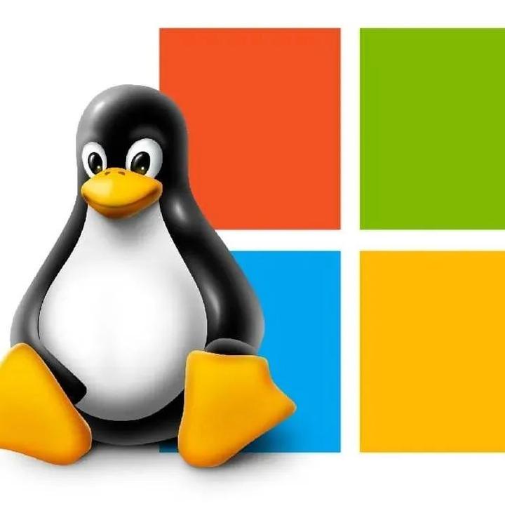 Window Linux 双系统安装历程,超详细 - 知乎
