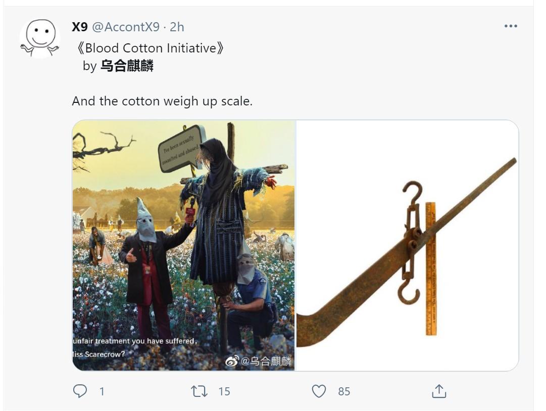 如何看待乌合麒麟讽刺bci的新作bloodcottoninitiative676767