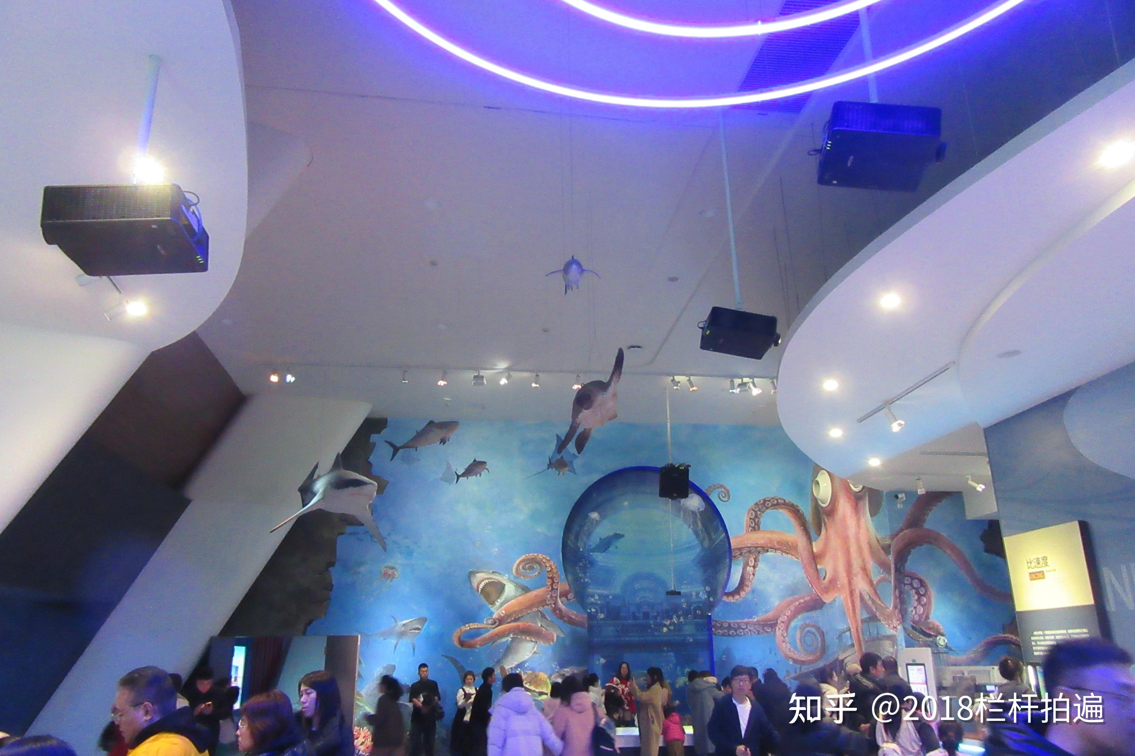 天津:打卡"天津·国家海洋博物馆"(2)