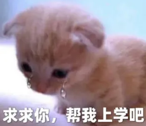 网上那些很火但你却看不懂的梗 - 知乎