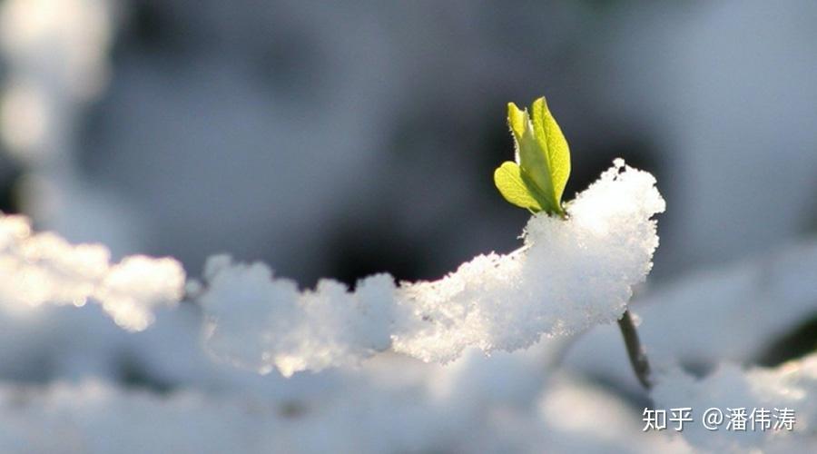 很多企业的日子本来就不好过,疫情这么雪上加霜一下,不死才怪.