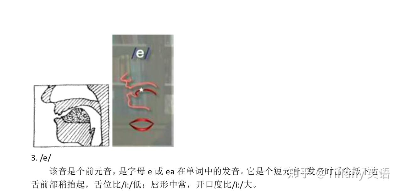 48个国际音标发音舌位图 - 知乎
