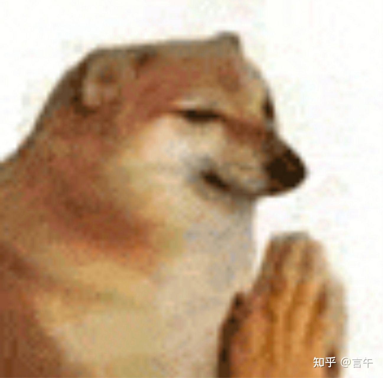 有没有如图所示cheems为主角的梗图或者是cheems和doge在一起系列的梗