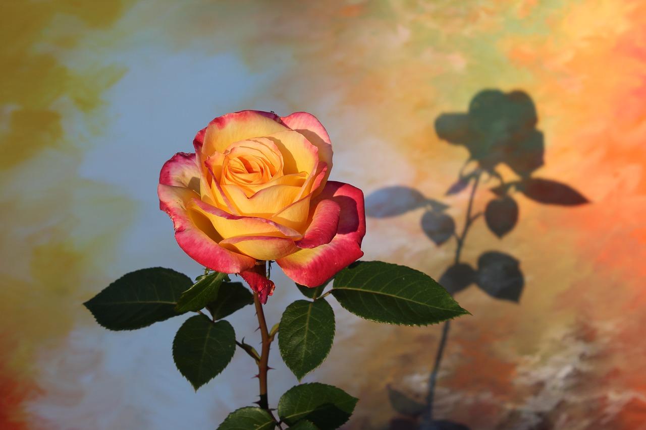 4. 光照调整方法