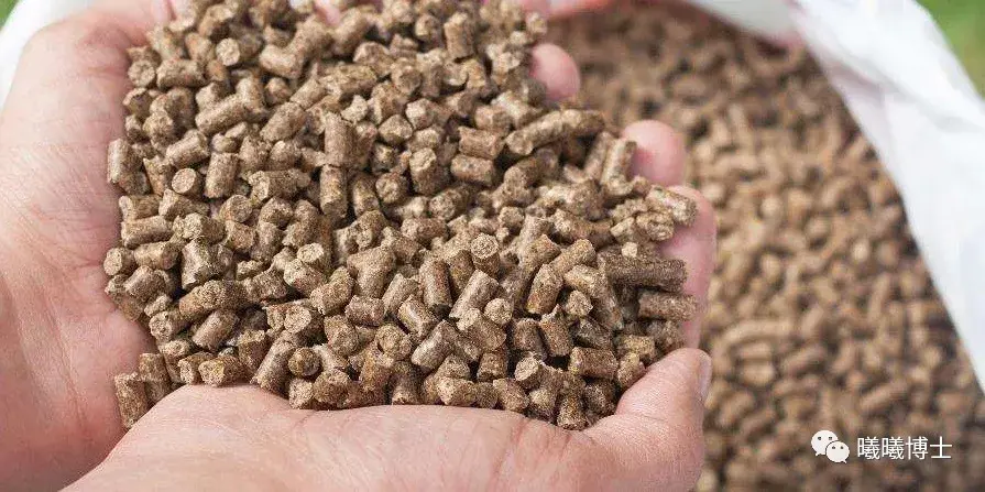 动物营养师眼中的饲料是什么样的?