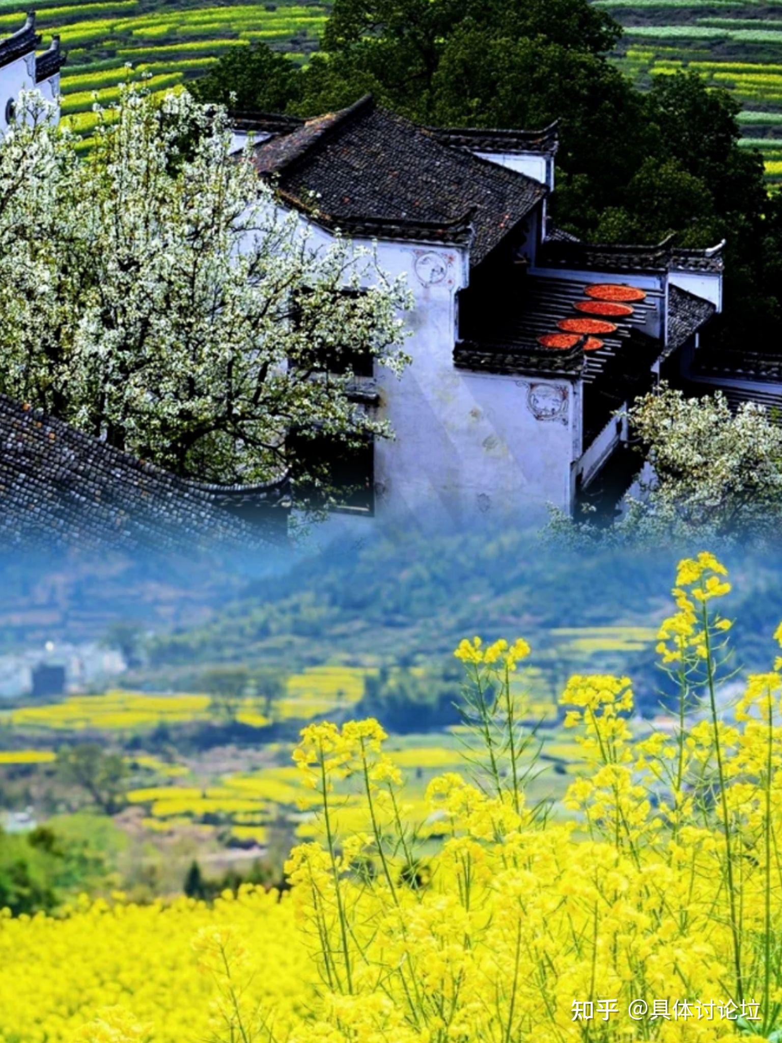 再忙也要捕捉春天婺源油菜花田