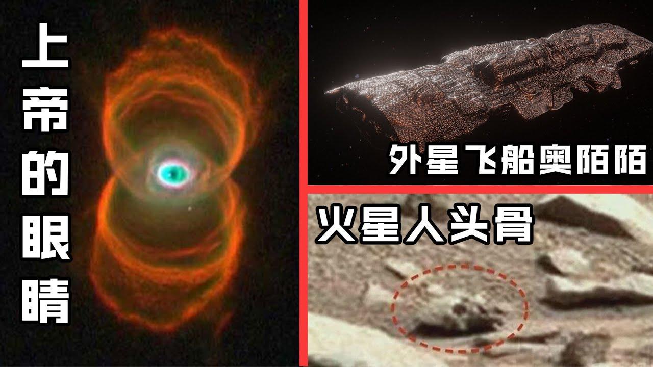 火星上的生物图片