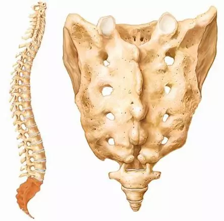 晒一晒你们认为最棒的健身装备吧