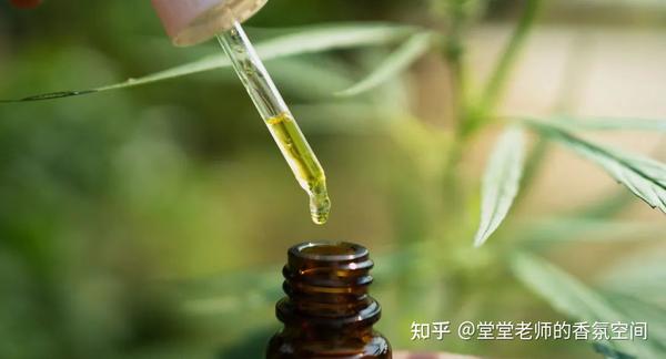 依兰依兰精油：养心镇静、强效止痛、滋补子宫、温暖催情、纾解焦虑...... - 知乎