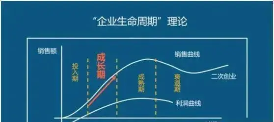 怎么根据基本面挑选成长股