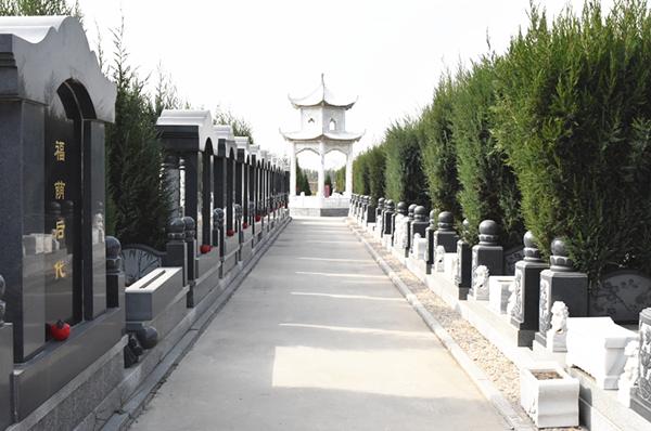 天津静海墓地6800图片