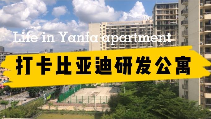 打卡深圳坪山比亚迪研发公寓住宿条件