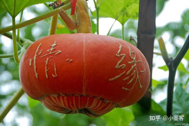 关于有什么生意投资3万元左右可以的?的信息