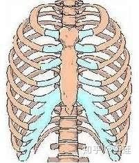 肋软骨炎不治疗的后果 知乎