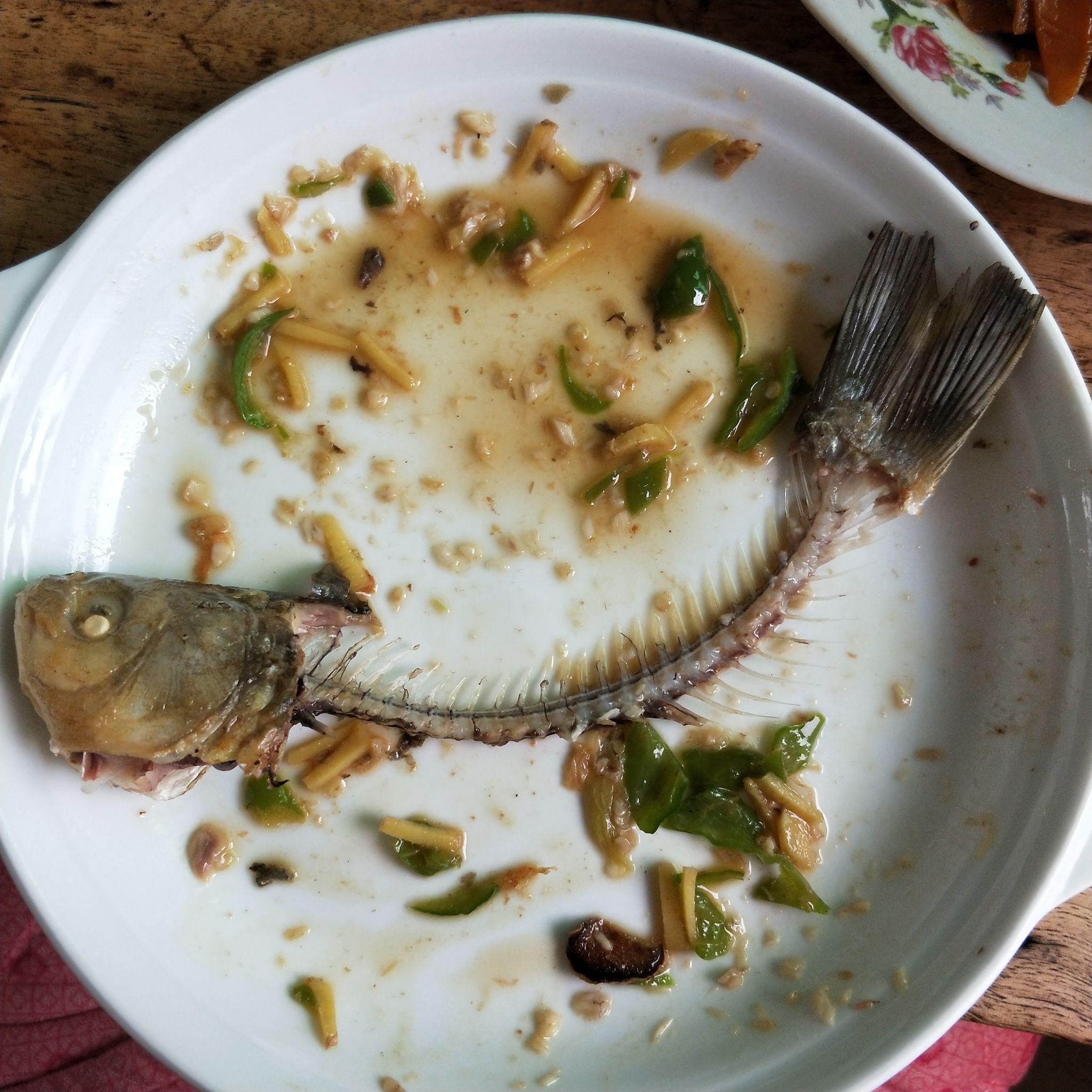 吃主流的整条鱼,有没有简单挑开鱼刺的套路? - 知乎