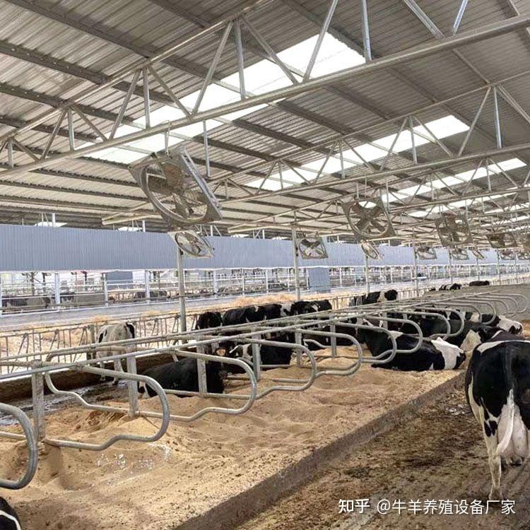 牛卧床安装使用的注意事项