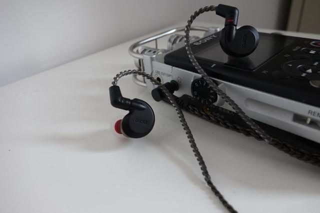 有格调的猛禽达音科隼测评