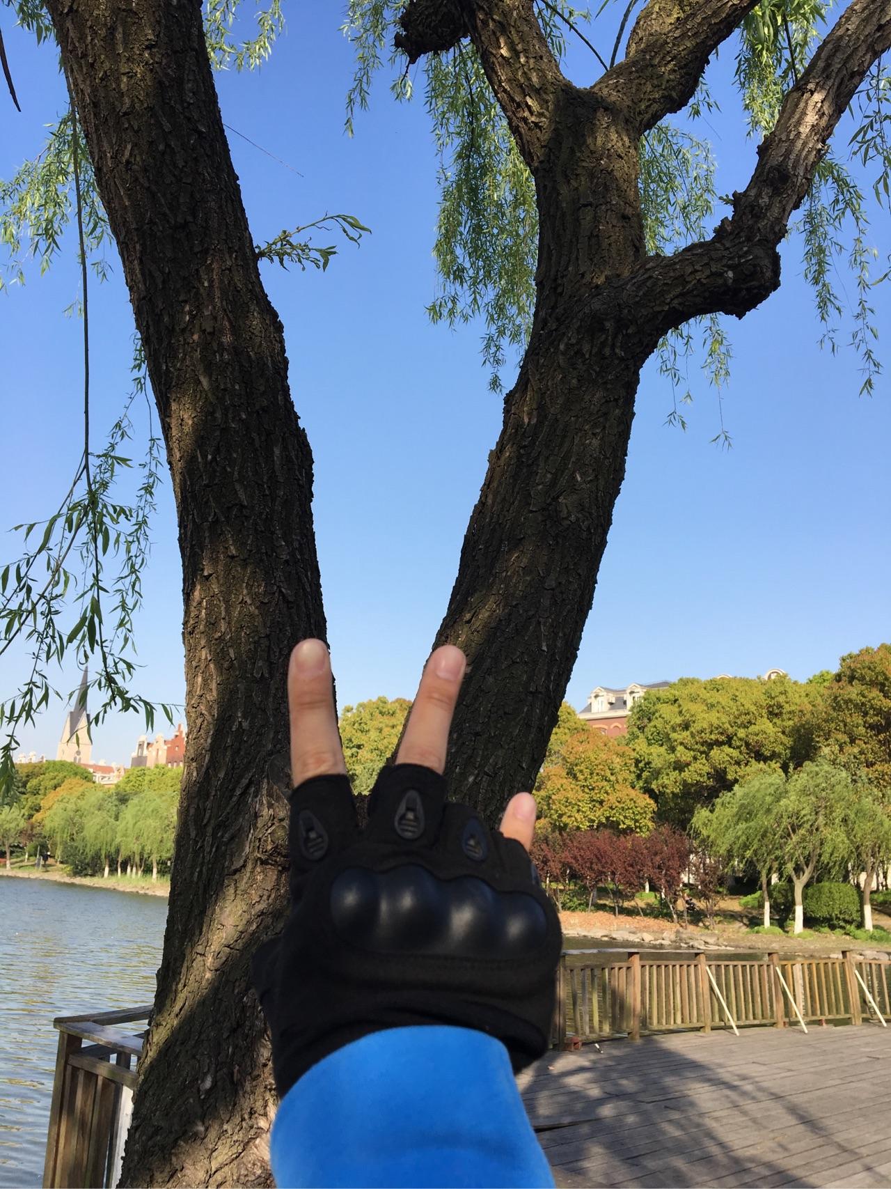 收养流浪猫\/狗要怎样给猫\/狗打疫苗,打完就不怕