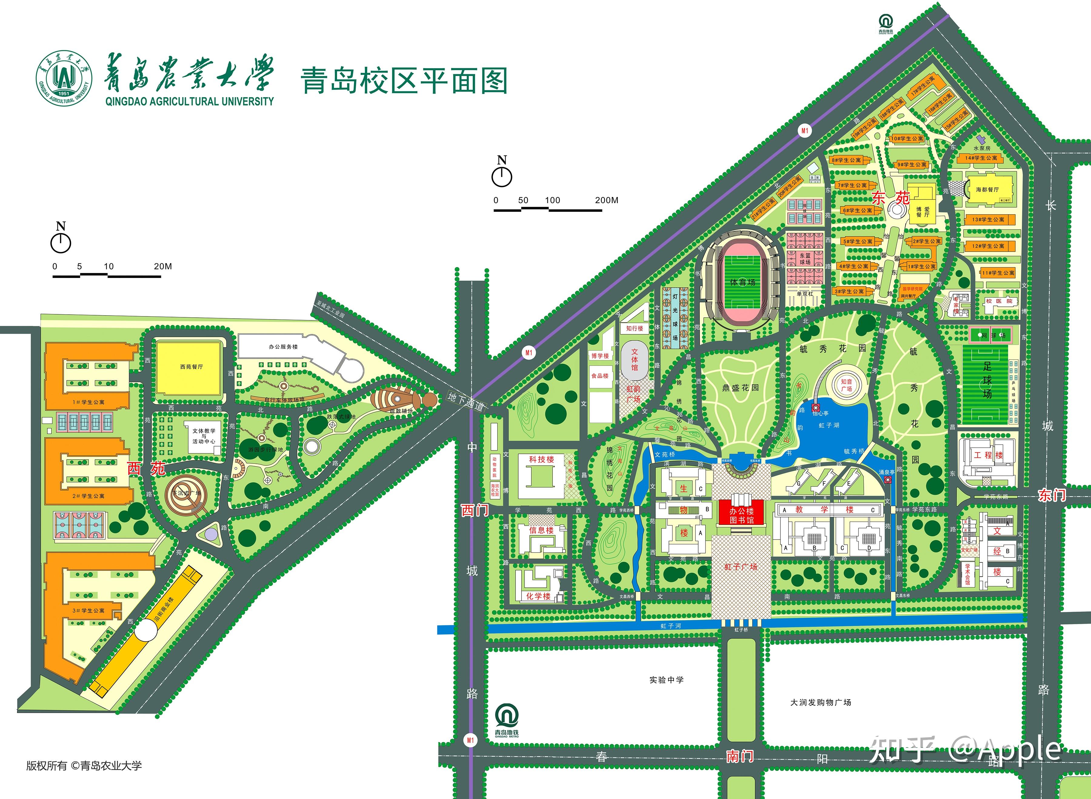 青岛农业大学留学生 青岛农业大学留学生