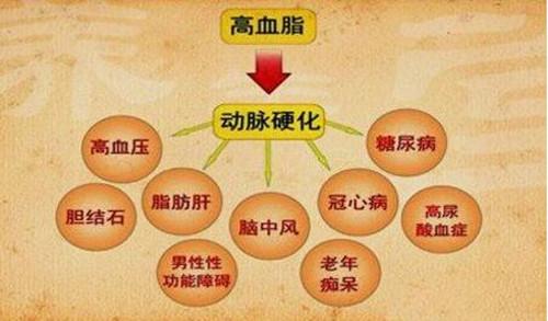 海豹油为什么要吃ω3调节血脂降低胆固醇让人体更健康