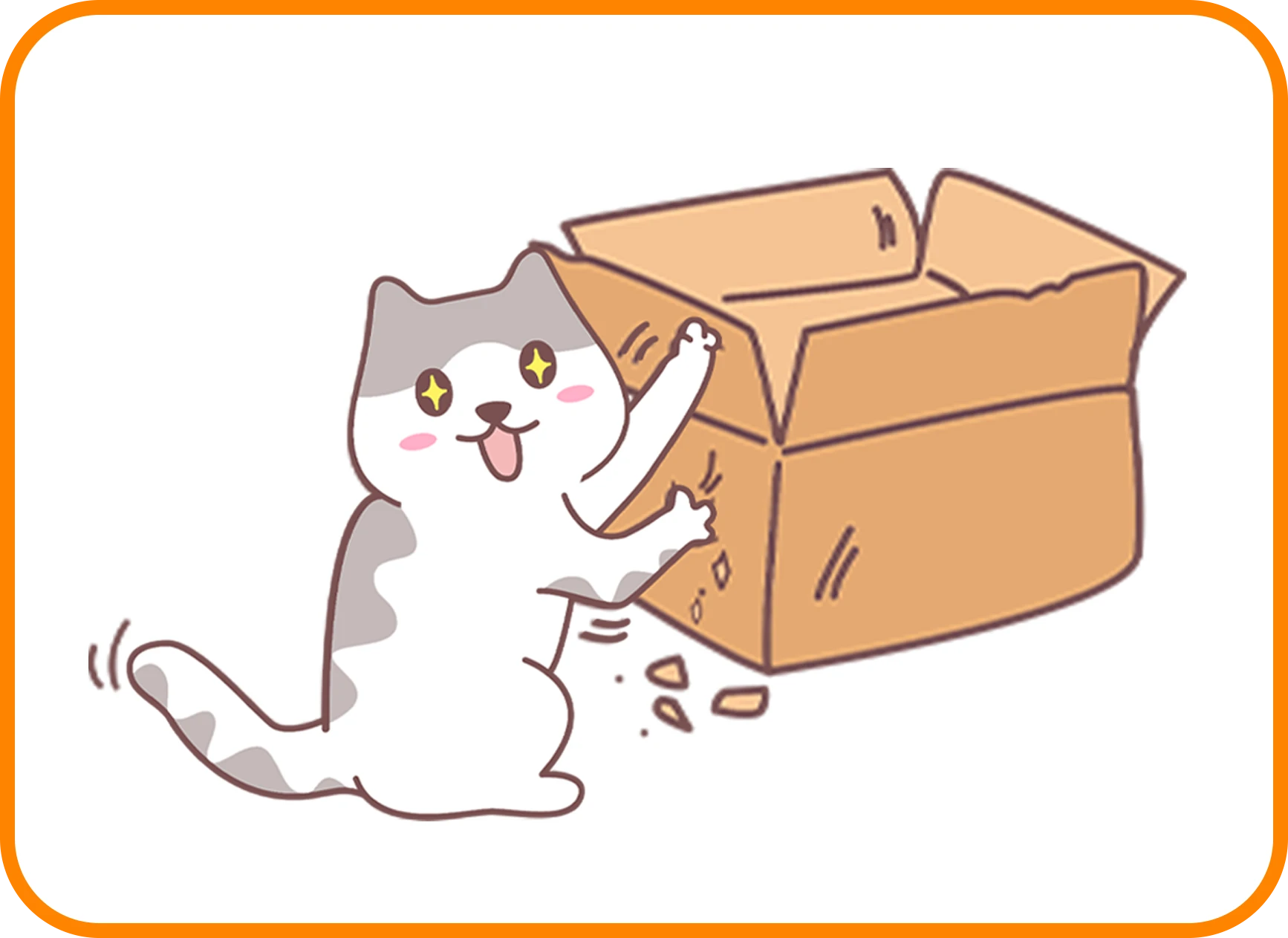 “揍猫”说明书!如何科学地打猫? - 知乎
