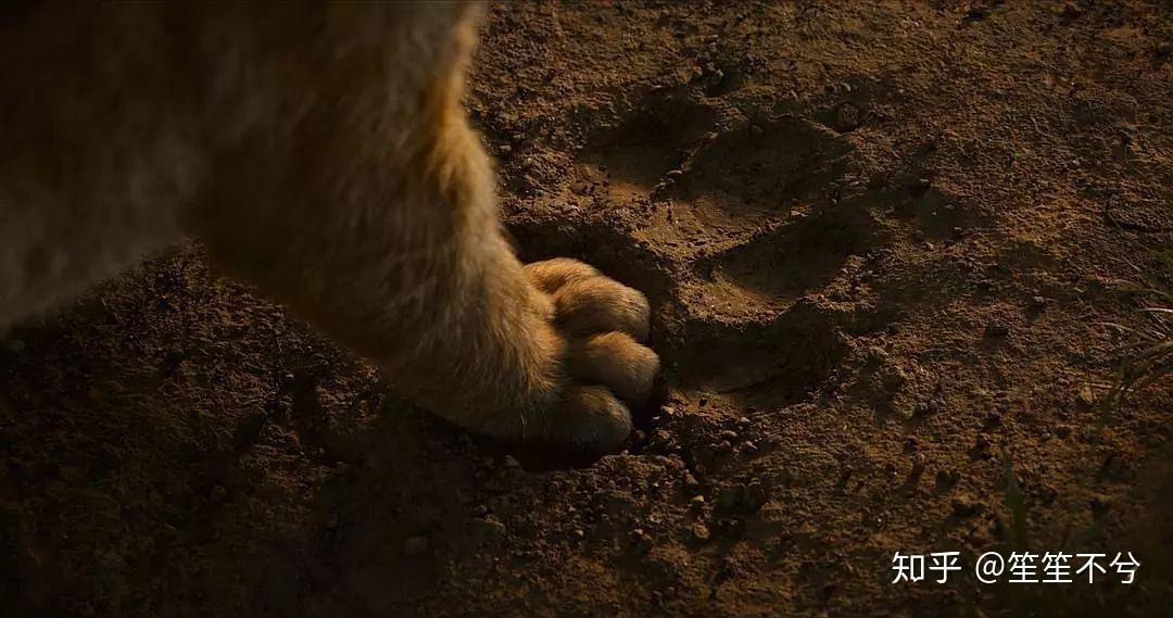 何为真正的勇气 v2-26302db1e6fda28f5d1364f91e232e88_r.jpg