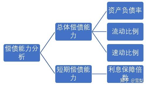 财务报表分析 – 偿债能力分析