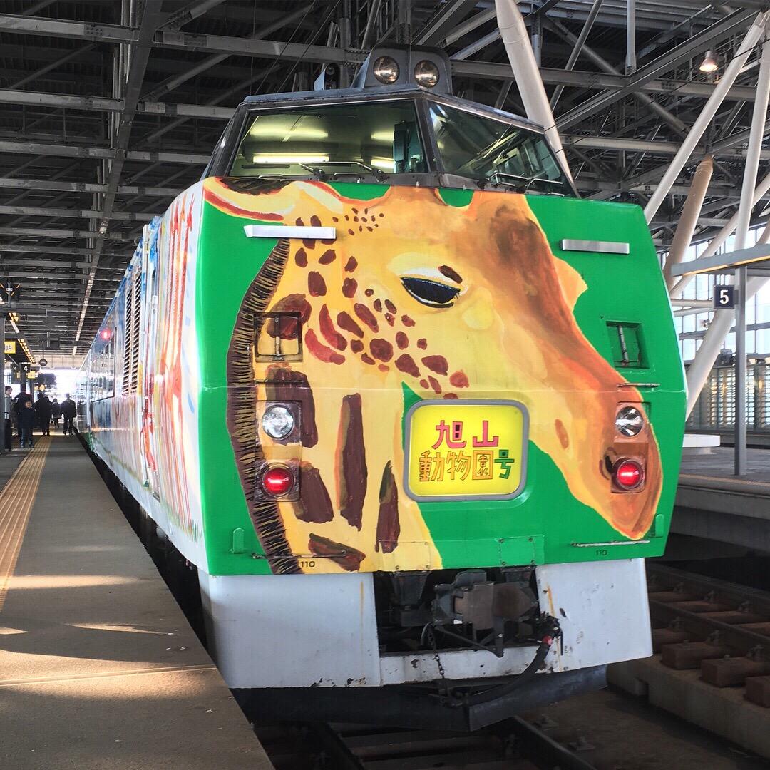 【携程攻略】旭川旭山动物园景点,可以子啊札幌站的JR购票点买到来往于札幌和旭山动物园之间的火车票、…