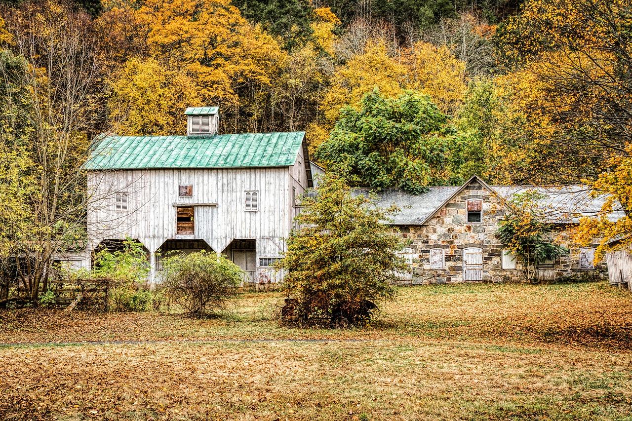 饥荒衣柜有什么用