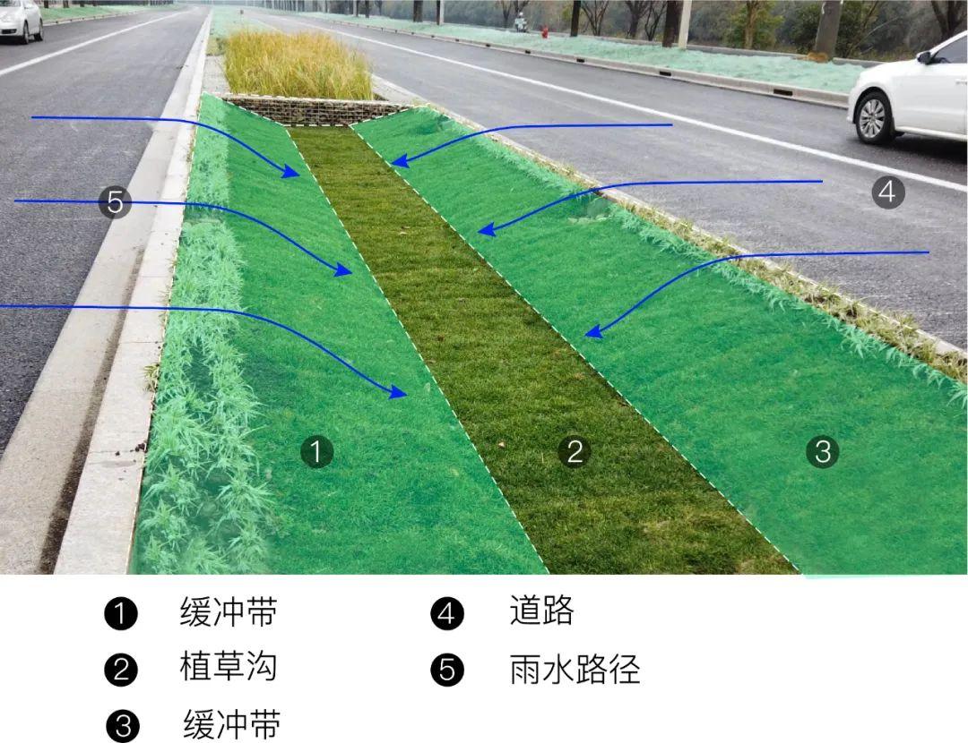 植被缓冲带(或缓冲区)则是径流汇聚至「植草沟」时流经的两侧植被区