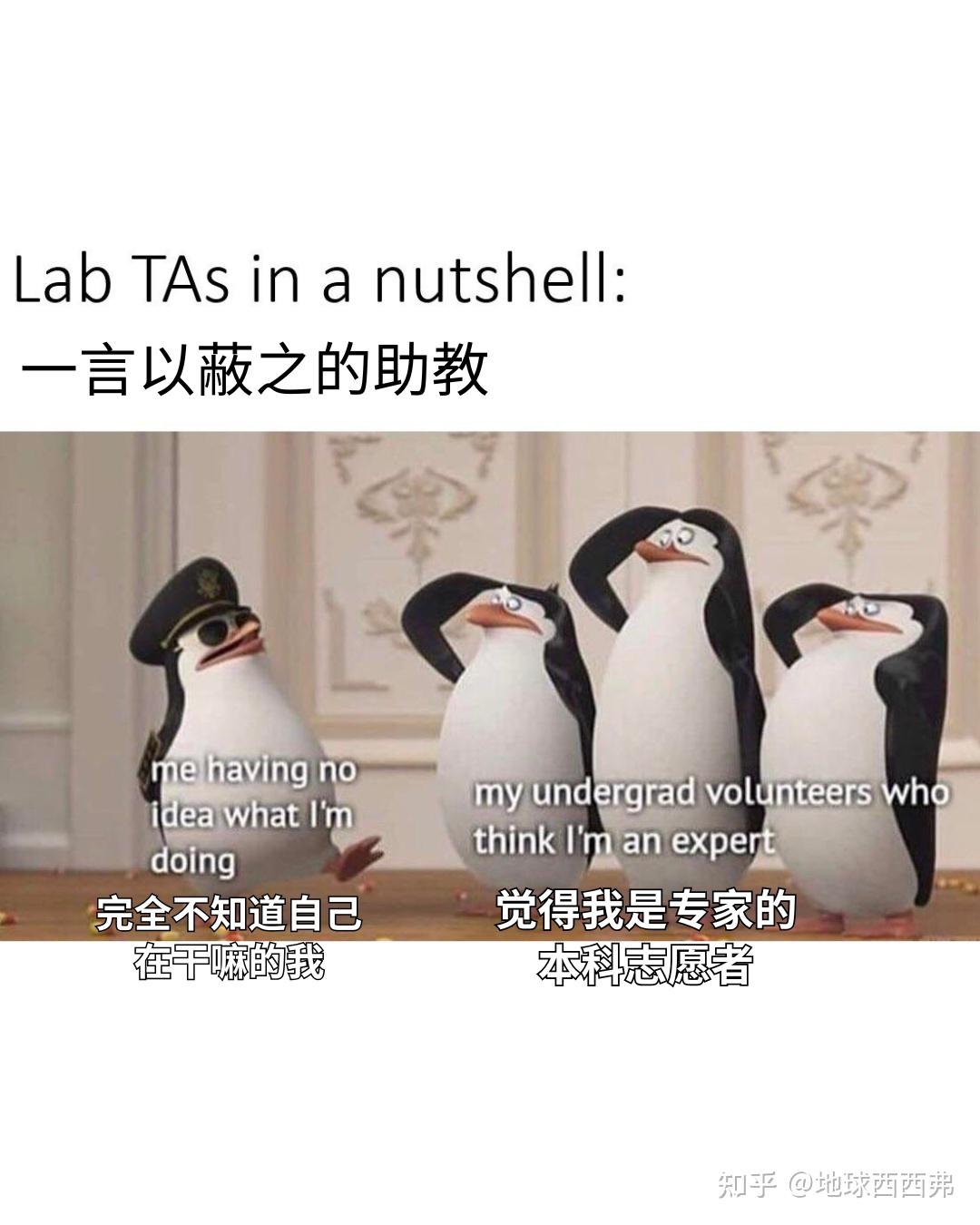 【每日meme】实验化学 篇 - 知乎