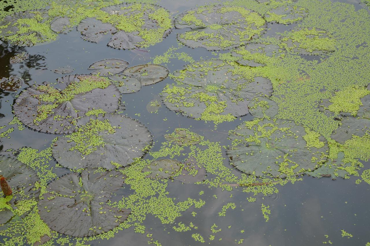 2. 周边配套解析