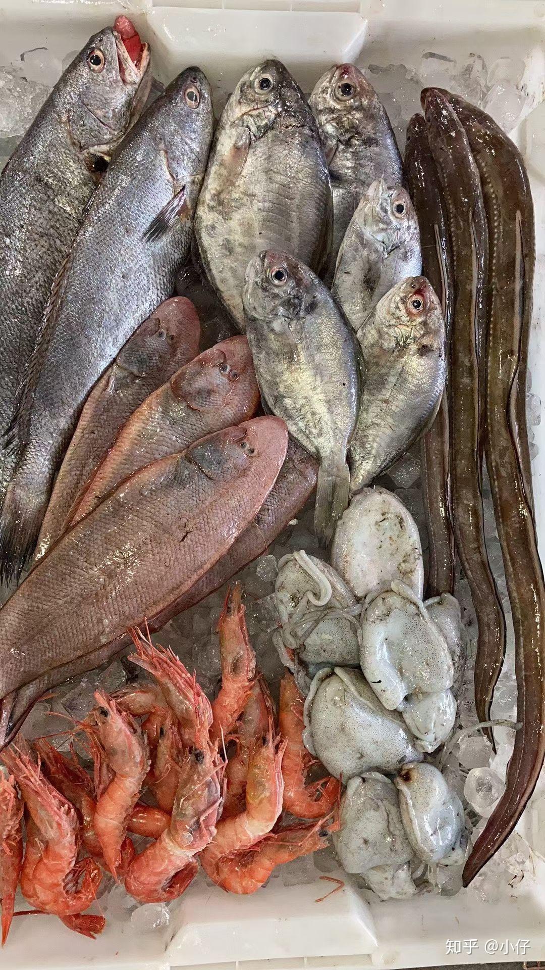 海鲜市场常见鱼类种类有哪些?最好有图? - 知乎