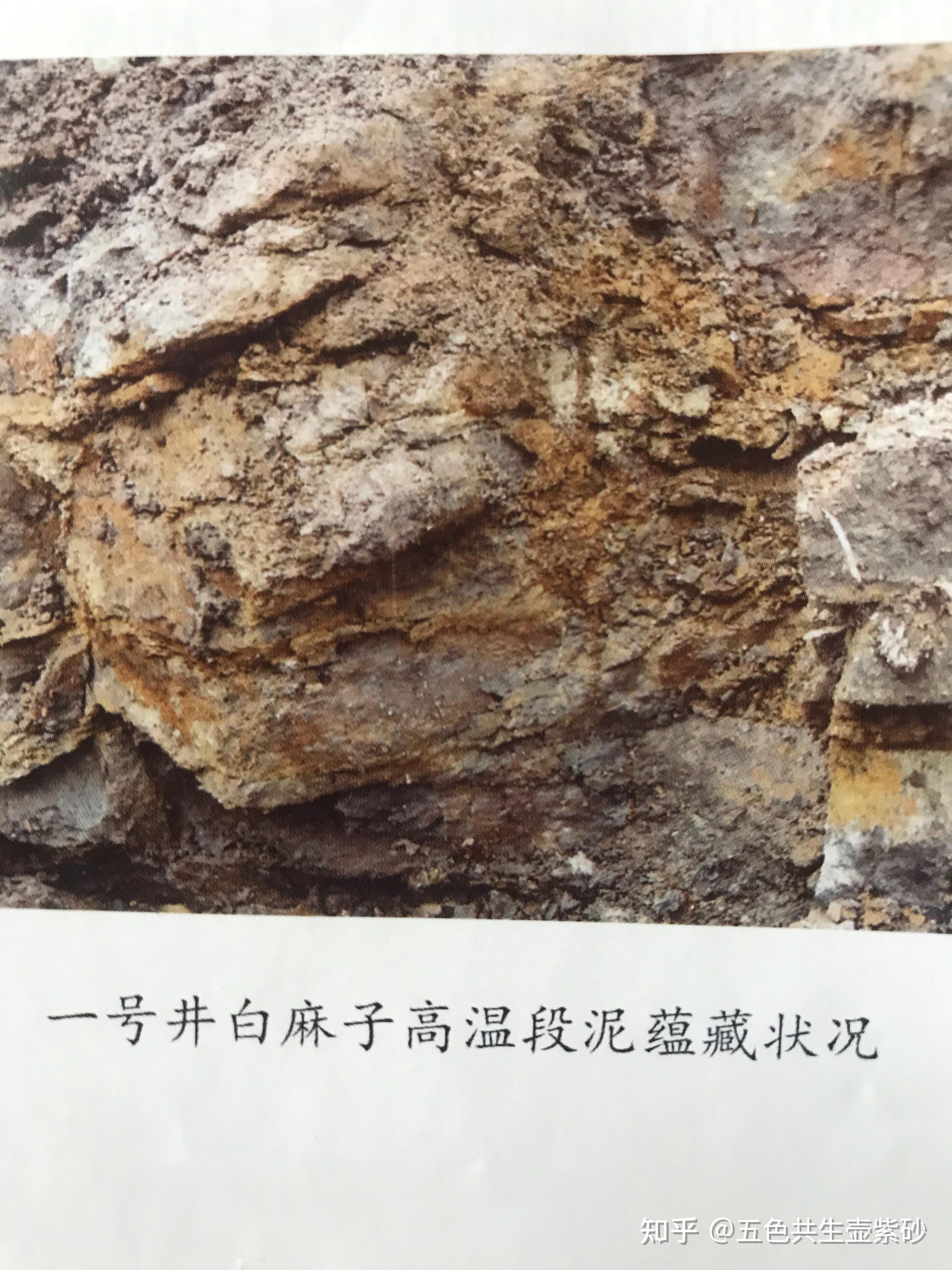 页岩-Shale-地质-岩石-矿物-矿石-标本-高清图片-中国新石器-百科,地质,知识,资料,教学