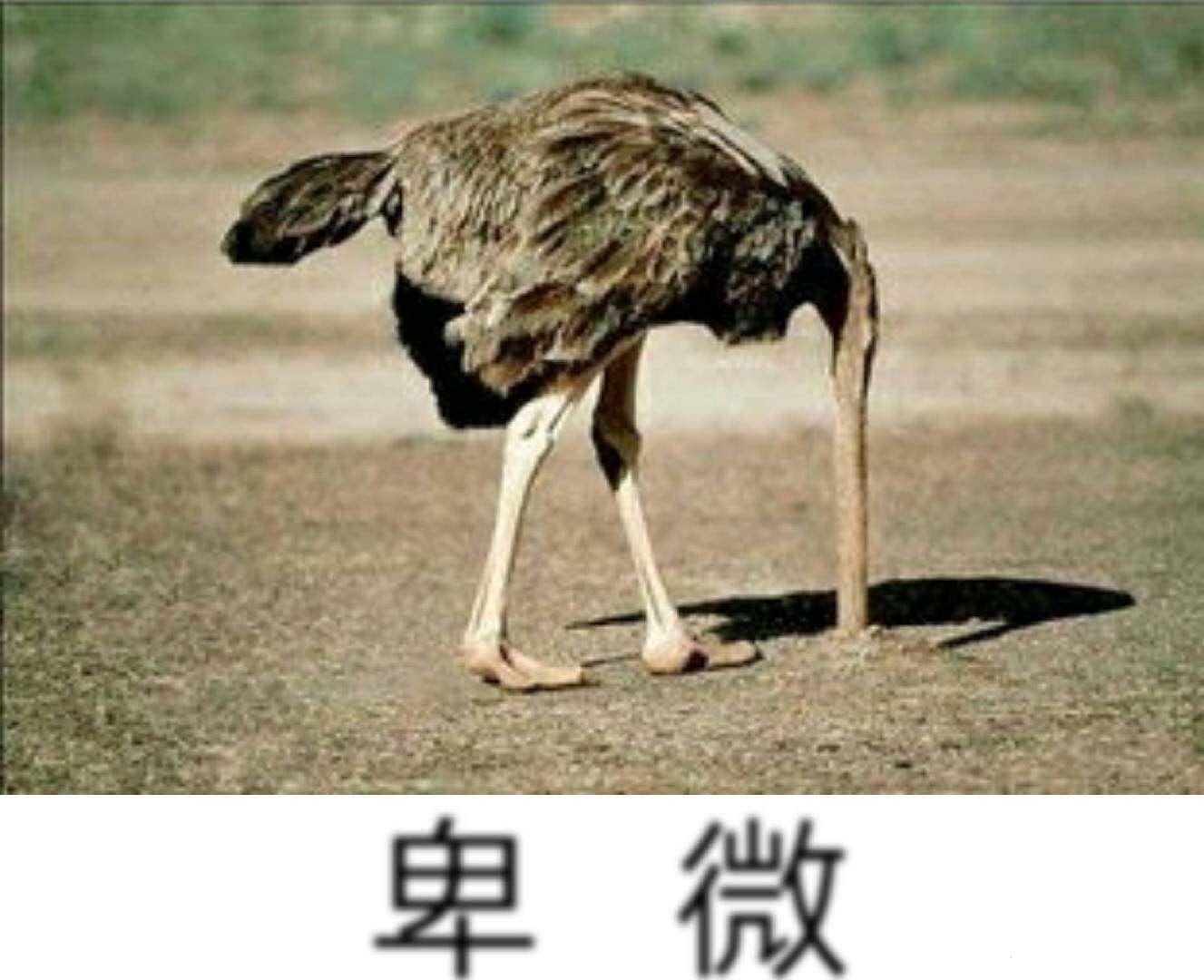 有哪些概率论表情包? - 知乎