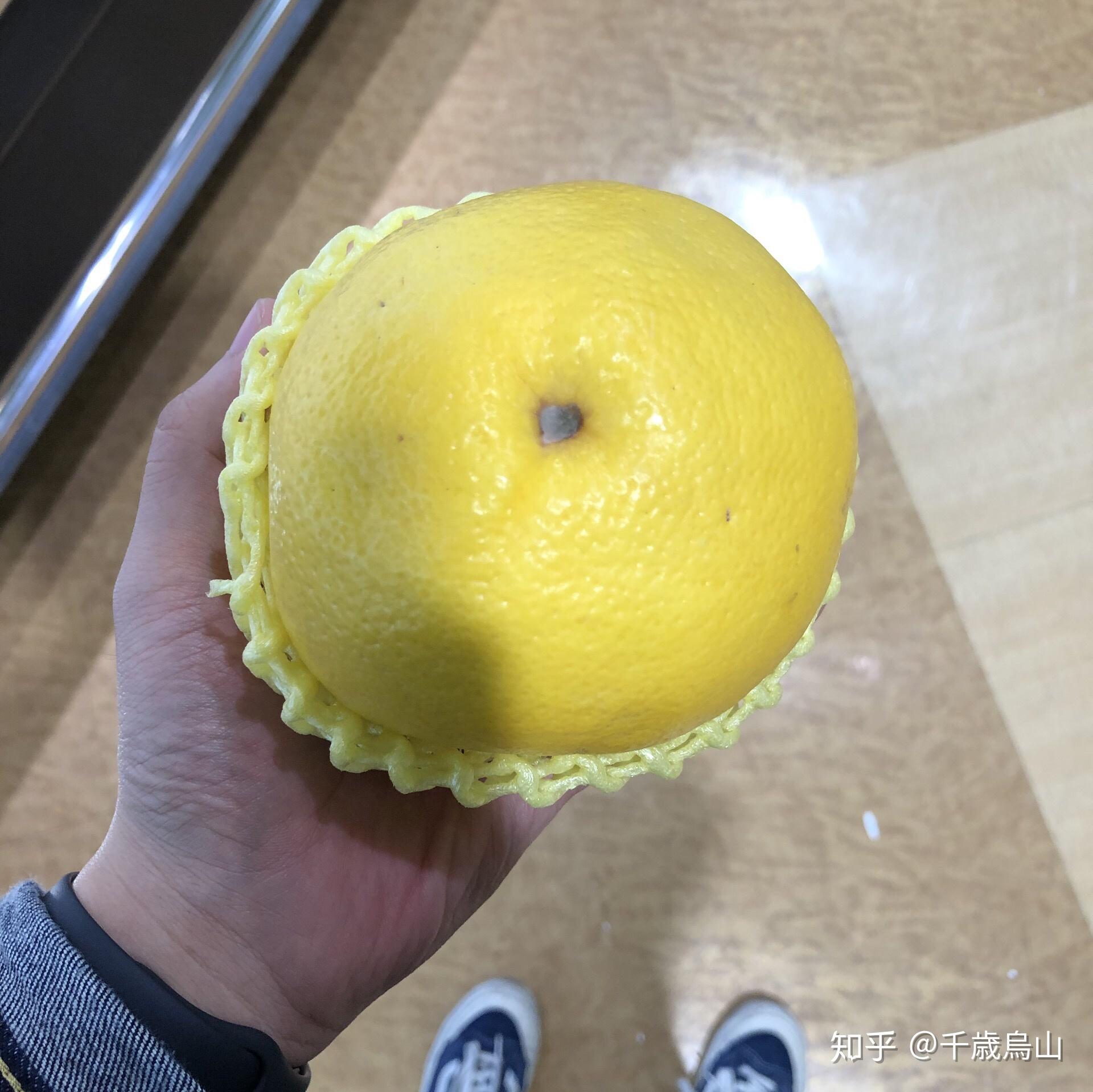 v2-2681f8be69a29389e1864e881821a0b0_r.jpg