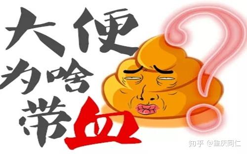 大便出血是很多肛腸疾病的症狀,不是什麼小問題!其實不是這樣的.