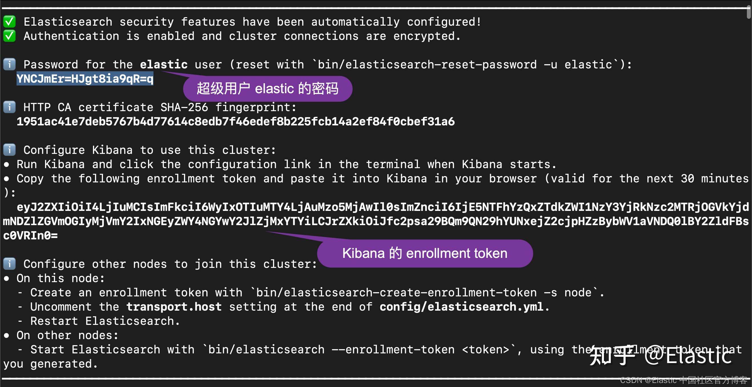 Enterprise：使用 Elastic Stack 8.2 中的 Elasticsearch API 来定位 App Search 中的 ...