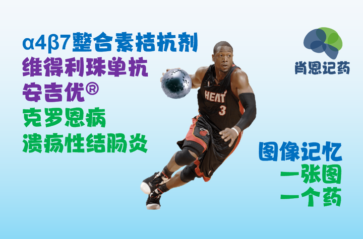 图像记忆 | α4β7整合素拮抗剂 | 维得利珠单抗 | 安吉优 | 溃疡性结肠炎、克罗恩病生物药 - 知乎