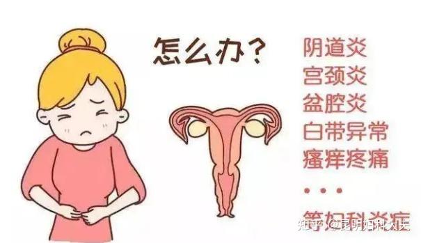 宫体炎 zhuanlan.zhihu.com