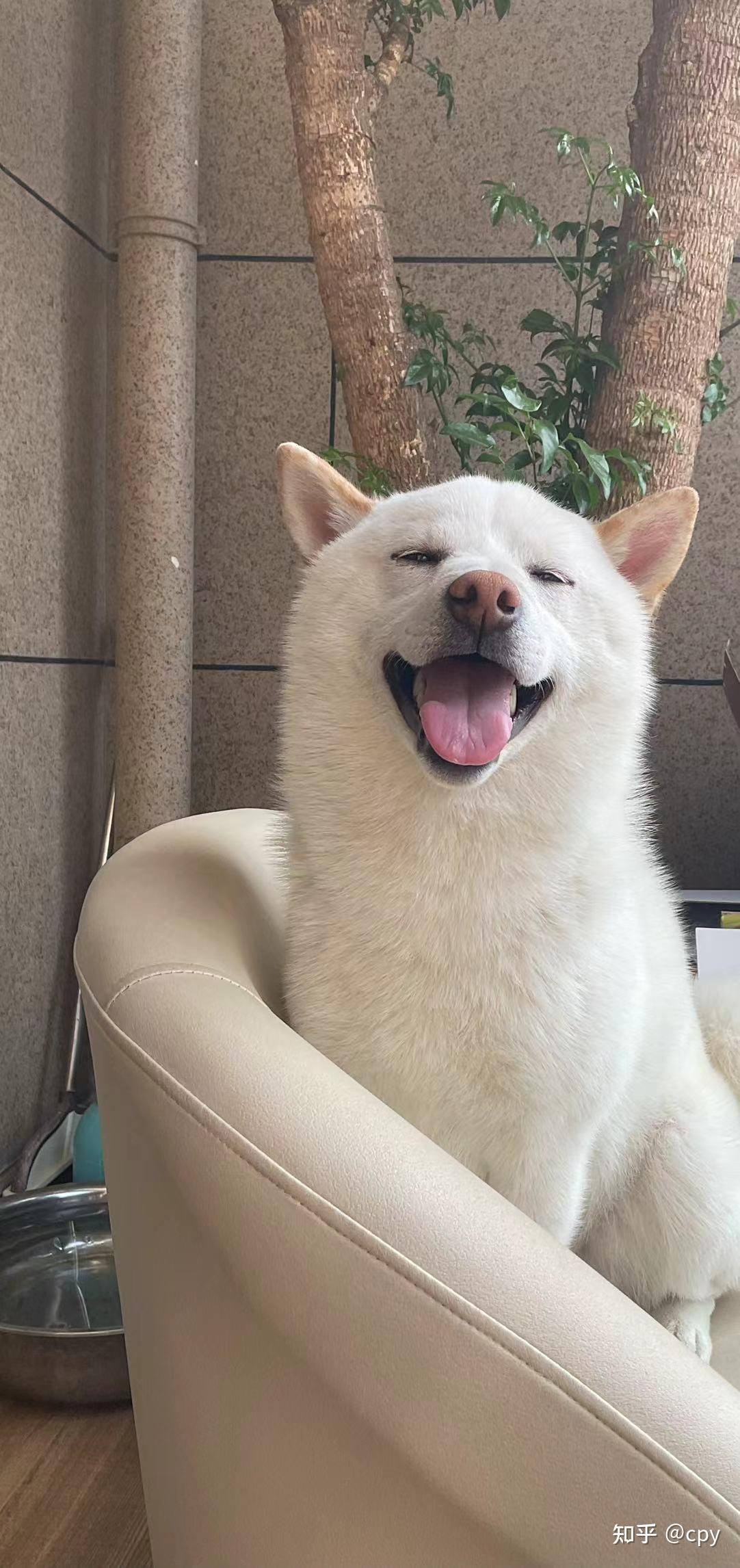知乎