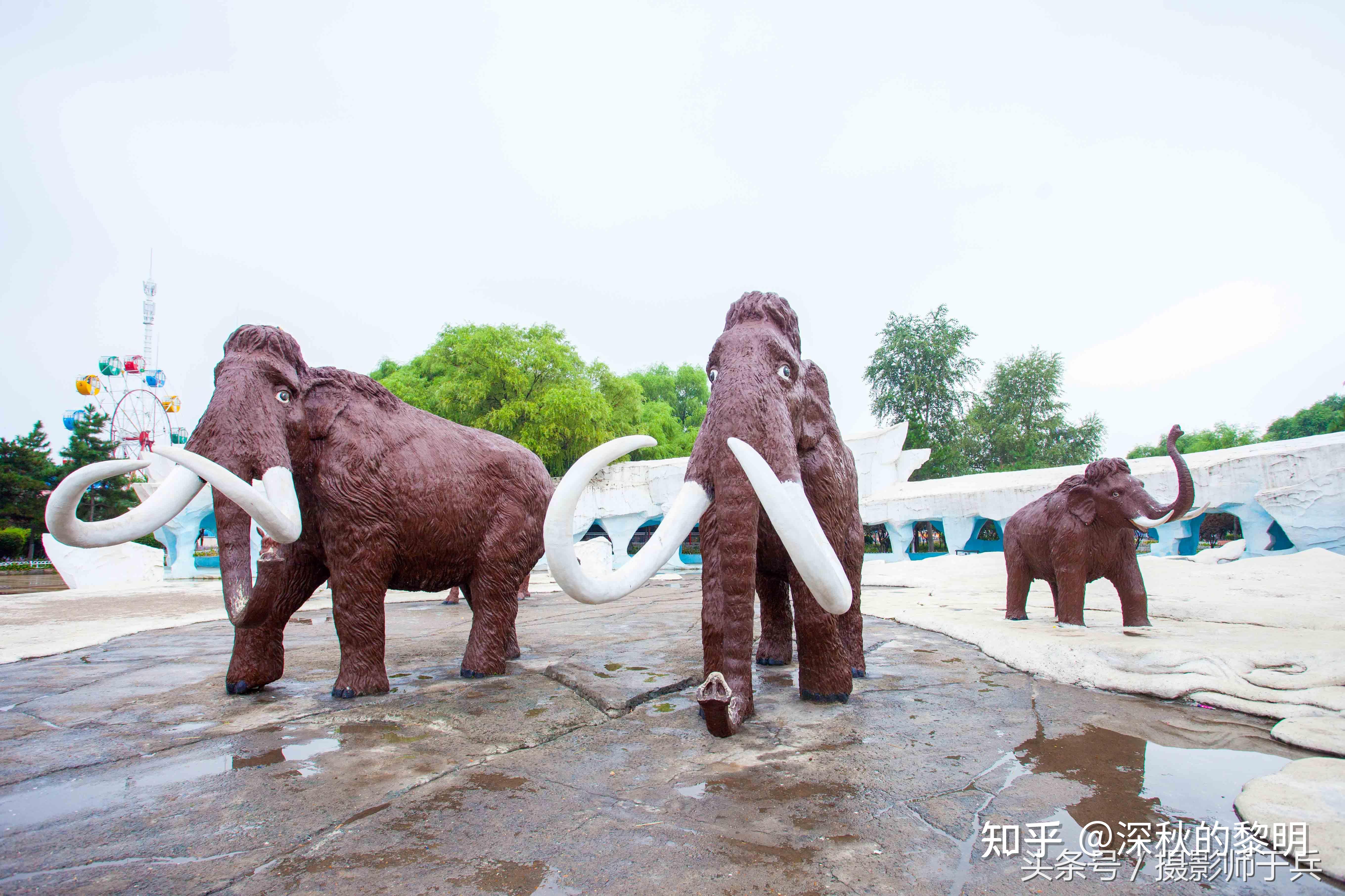 松原儿童公园的哪些项目不容错过?