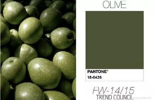 橄榄绿(olive drab)