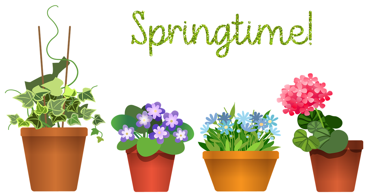 4. 寿娘子繁殖方法