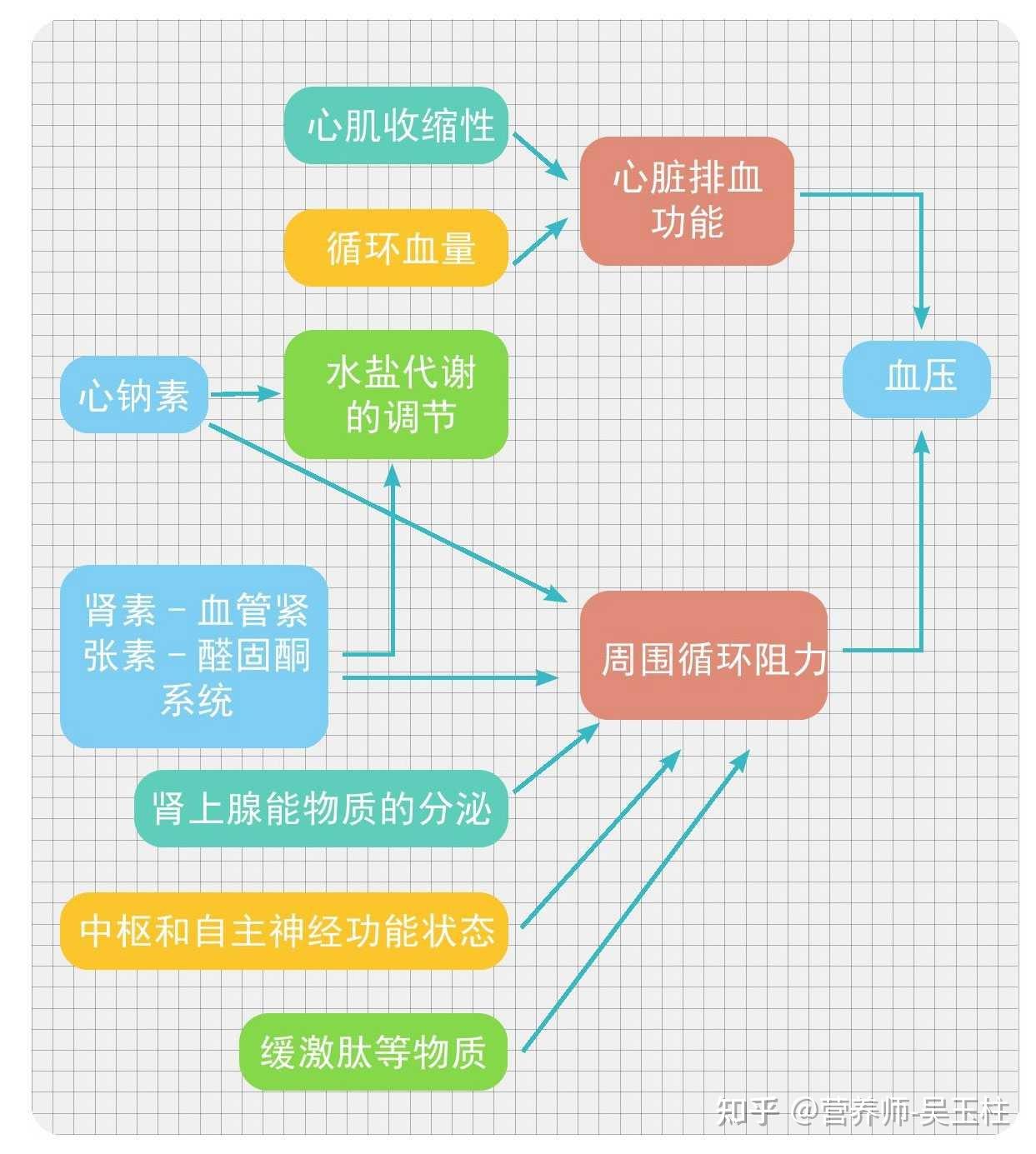 什么是高血压 - 知乎