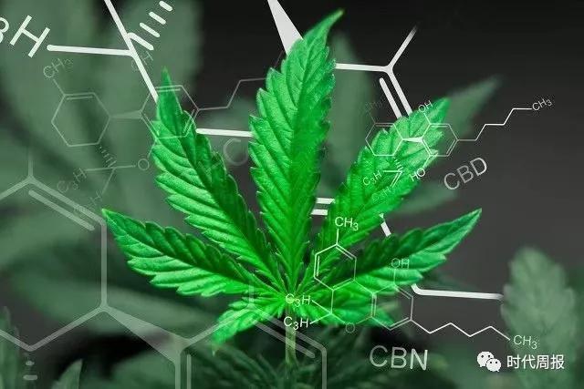 麻王集团爱乐健康科技正式起航 知乎 麻王集团爱乐健康科技正式起航 知乎