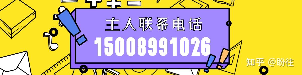 陵水县南平农场寻找一只棕色公狐犬