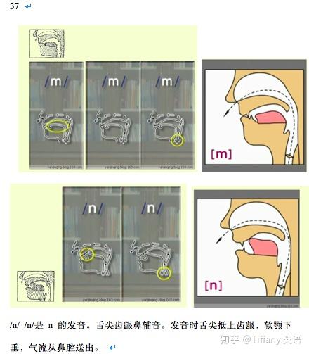 48个国际音标发音舌位图 - 知乎