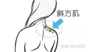 怎样练成天鹅颈视频 v2-26e0e94a9415f412df324ec6dc6a9328_b.jpg