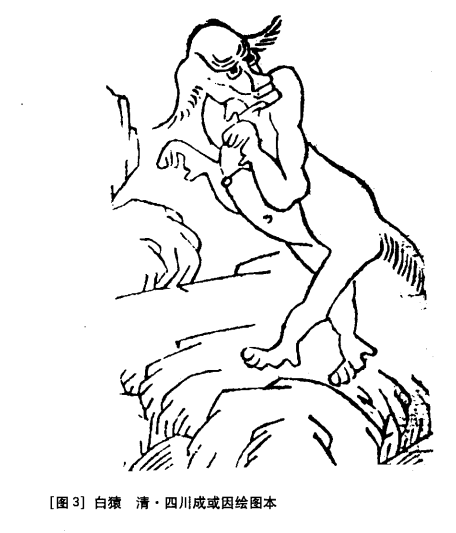 猿分不浅趣涂山海经之白猿